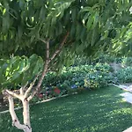 Taras Apartman Split